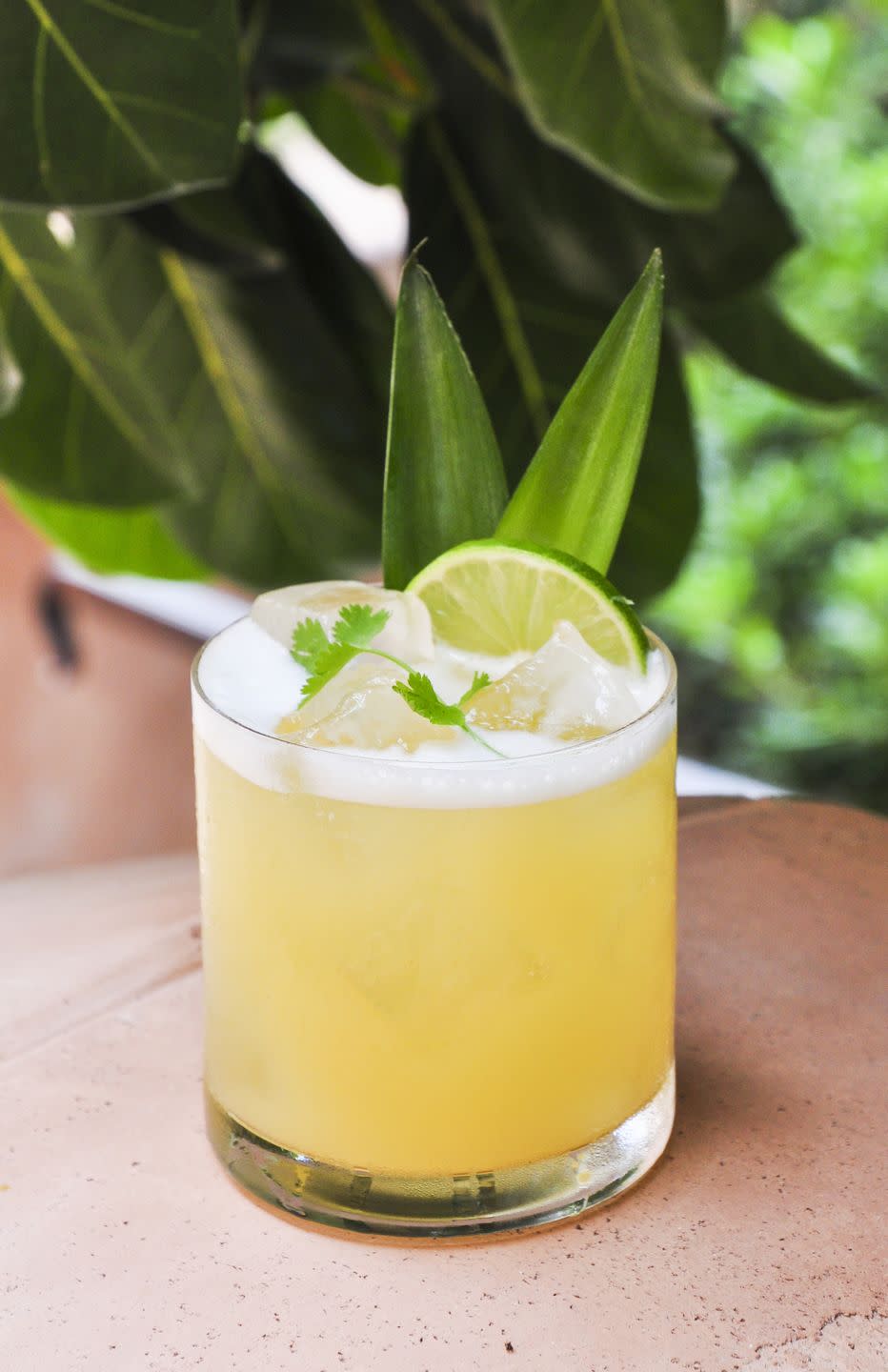 Drink, Lemon-lime, Sour, Non-alcoholic beverage, Alcoholic beverage, Cocktail garnish, Gimlet, Limeade, Rickey, Juice, 