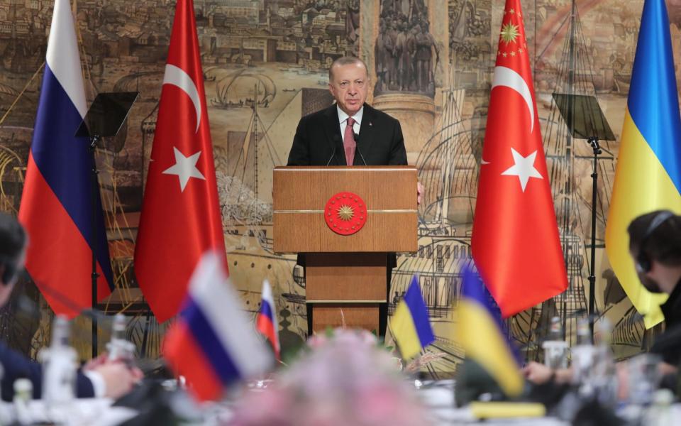 Turkish President Recep Tayyip Erdogan speaks ahead of the peace talks between delegations from Russia and Ukraine at Dolmabahce Presidential Office in Istanbul - Murat Cetinmuhurdar/Handout/Anadolu Agency 