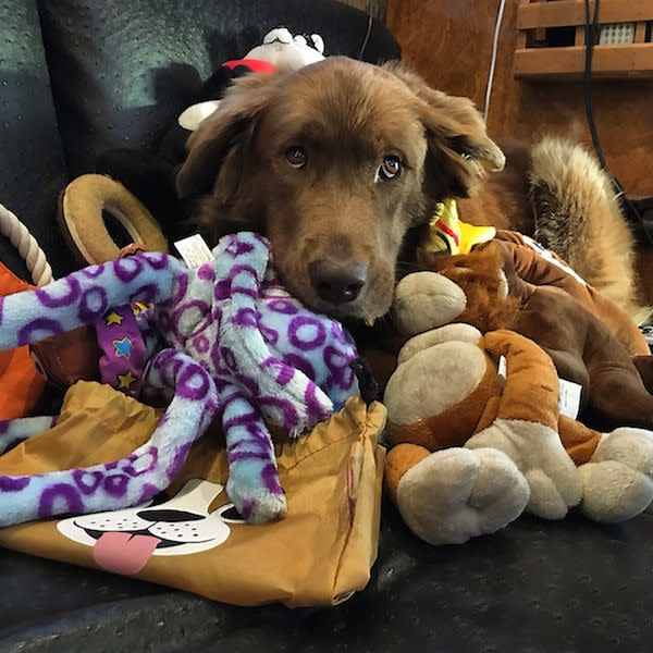 Cocoa with gifts from fans (photo: Courtesy of Stick Figure)