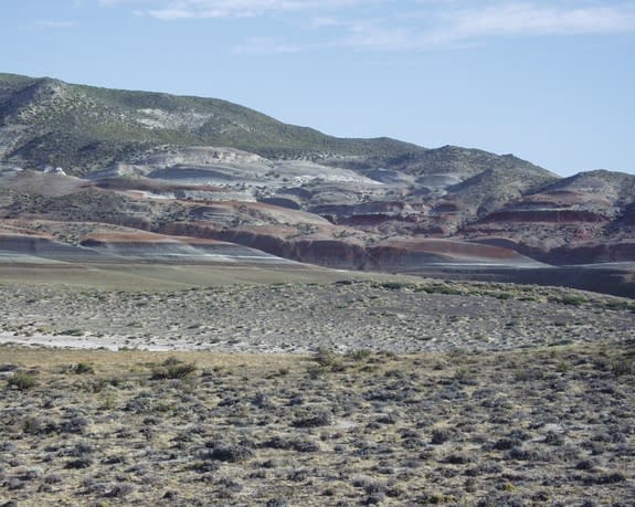 The jawbones of an ancient reptile were discovered in the Punta Peligro fossil locality (shown here) in Patagonia.