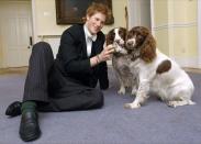 <p>Prince Harry plays with Rosie and Jenny, the dogs owned by Andrew Gailey, the Housemaster of Manor House at Eton College.</p>