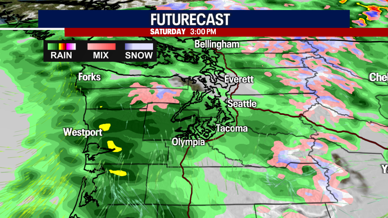 <div>Futurecast at 3 p.m. Saturday</div> <strong>(FOX 13 Seattle)</strong>