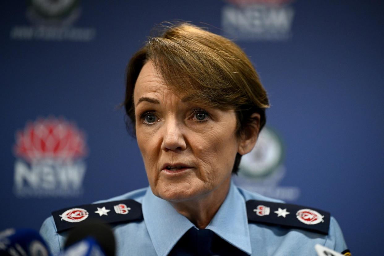 <span>Police commissioner Karen Webb is reviewing the appointment of journalist Steve Jackson to a $320,000-a-year media adviser role.</span><span>Photograph: Dan Himbrechts/AAP</span>