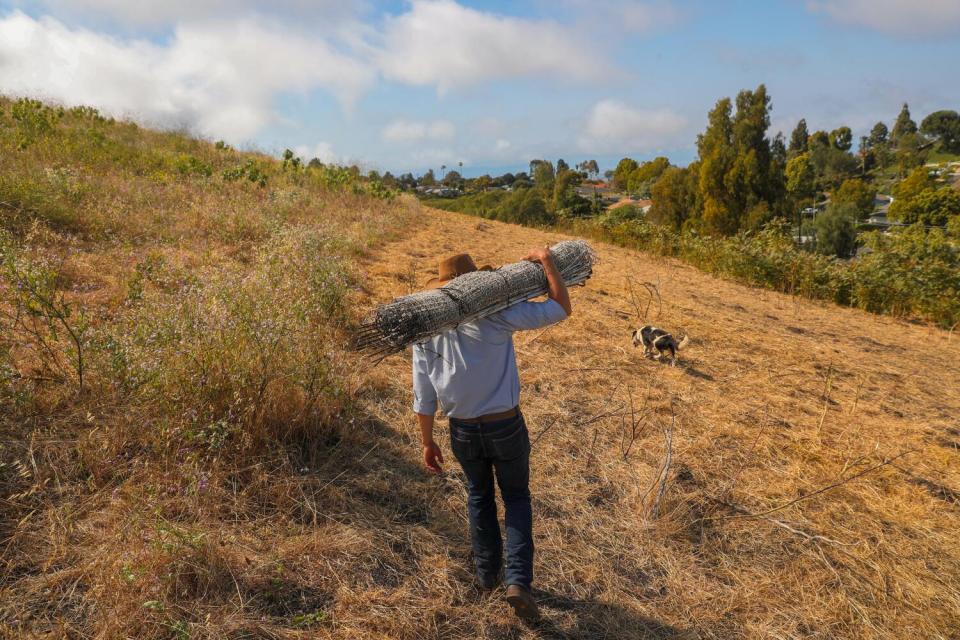 A man with a roll of electric fencing on his back and a border collie walk along a hillside.