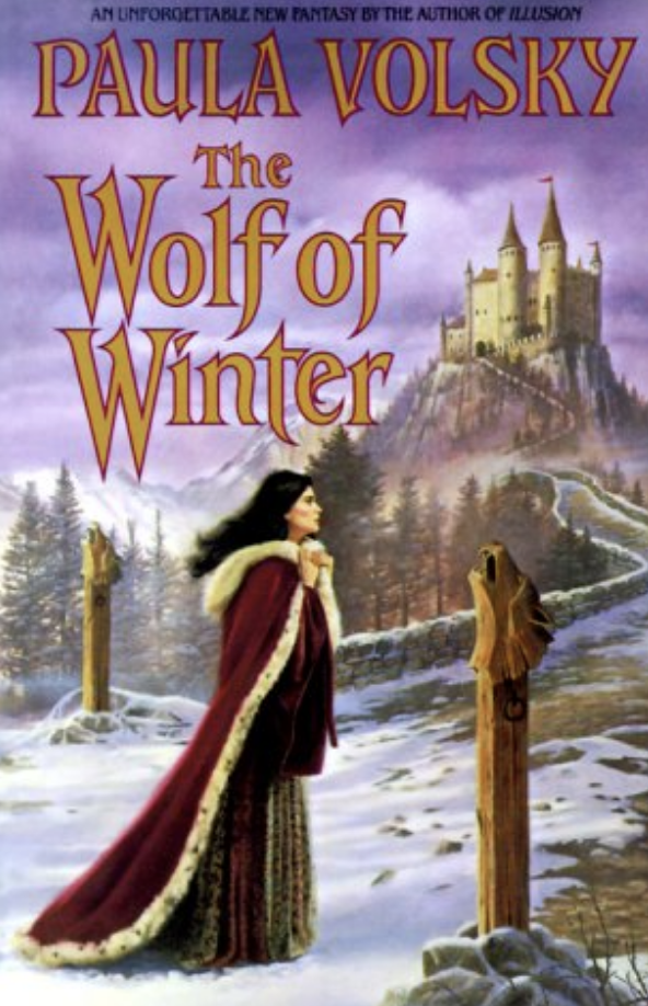 woman in the snow on the book cover