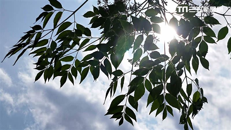 明日太平洋高壓逐漸增強，週五至下週二全台各地晴朗炎熱，漸入8月最熱期。（圖／翻攝自記者邱榮吉攝影）