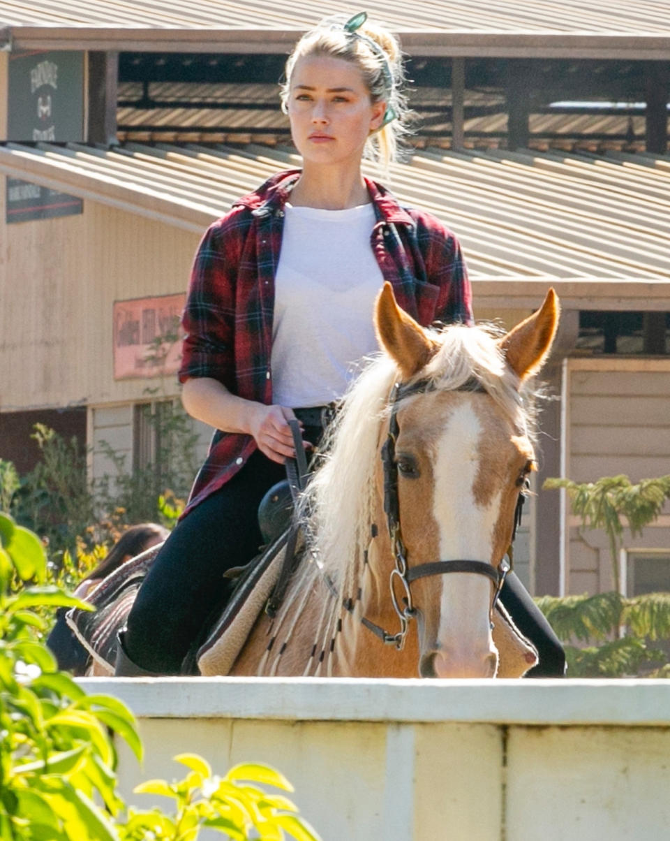 <p>Amber Heard takes her horse for a ride around the stables on Tuesday in L.A. </p>