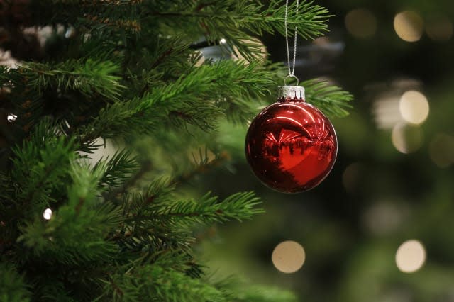 A Christmas bauble hangs from a tree