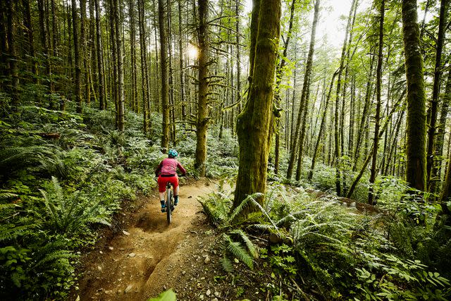 <p>Getty</p> A mountain bike trail