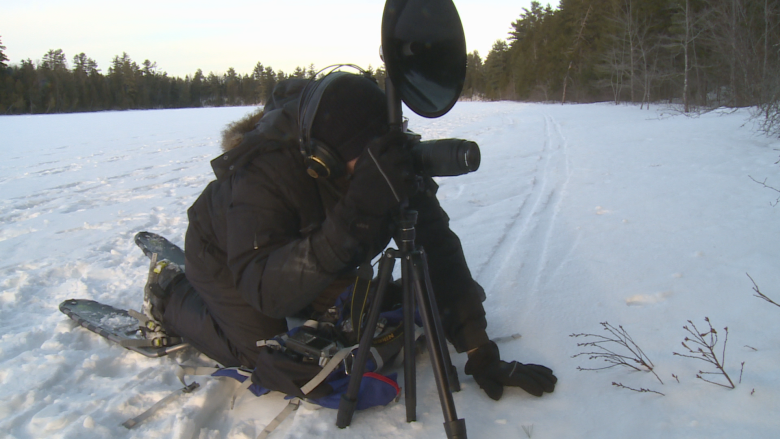 Doaktown artist travels to remote Norwegian fishing village for rare opportunity