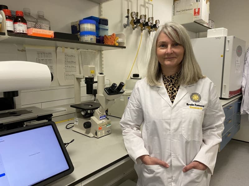 Dr Karen Noble, director of research, policy and innovation at the Brain Tumour Research charity. Scientists believe fruit flies could help them stop the growth of brain tumours. Brain Tumour Research/PA Media/dpa