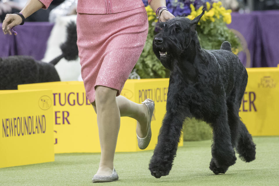 (AP Photo/Mary Altaffer)