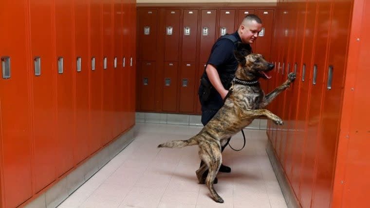 School Therapy Dog Gets Trained in Gun Detection