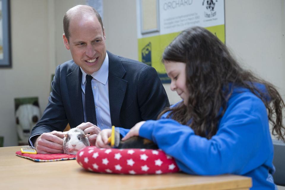 <p>David Rose - WPA Pool/Getty Images</p> Prince William visits Woodgate Valley Urban Farm on April 25, 2024 in Birmingham, England.