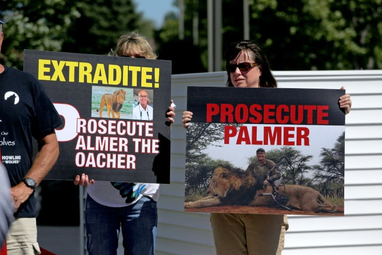 Animal rights activists have called for Walter Palmer to be extradited to Zimbabwe over the death of 'Cecil the lion'