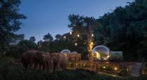 Las burbujas, de 22 metros cuadrados, se encuentran en mitad de la selva y han sido fabricadas con tela de poliéster de alta tecnología por la empresa española Eye in the Sky. Cuentan con dormitorio y sala de estar transparentes y con un baño. (Foto: <a href="http://www.anantara.com/en/golden-triangle-chiang-rai/experiences/jungle-bubbles" rel="nofollow noopener" target="_blank" data-ylk="slk:Anantara Golden Triangle Elephant Camp & Resort;elm:context_link;itc:0;sec:content-canvas" class="link ">Anantara Golden Triangle Elephant Camp & Resort</a>).