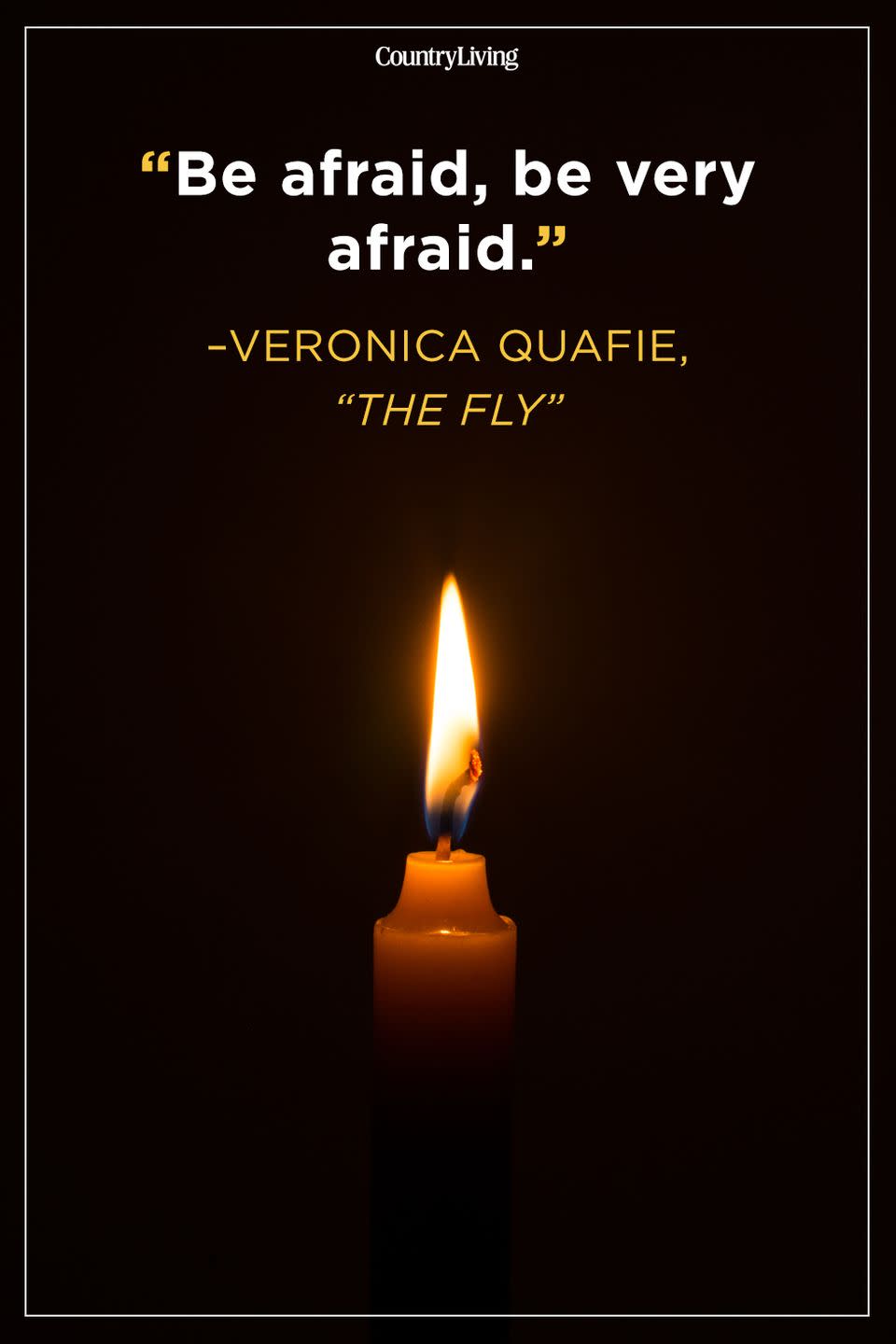 <p>“Be afraid, be very afraid.” </p>