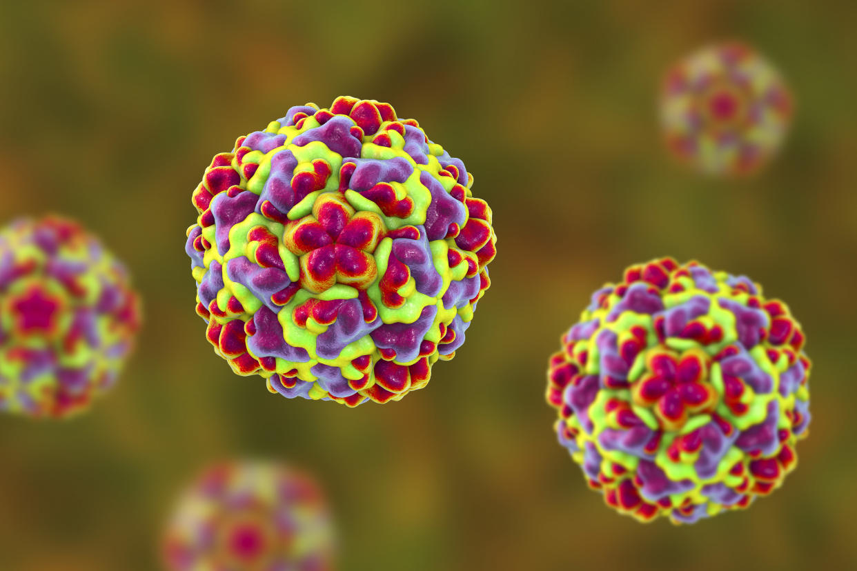 Molecular model of rhinovirus, the virus that causes common cold and rhinitis, 3D illustration