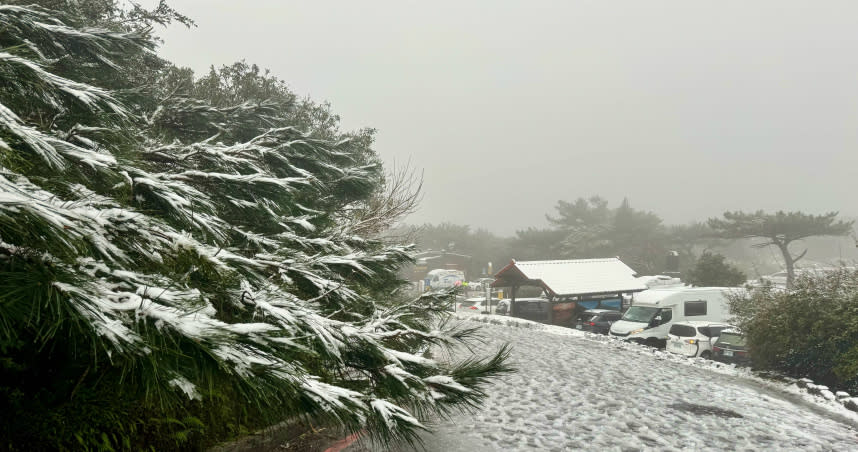 陽明山二子坪停車場下雪，吸引不少賞雪民眾追雪。（圖／方萬民攝）