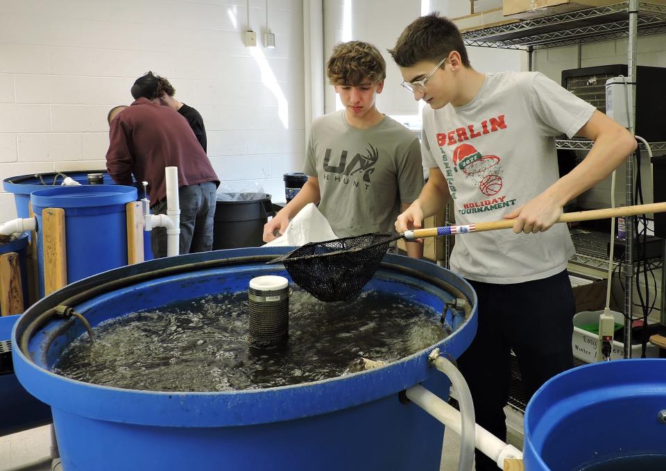 Brady Guindon looks into the net of channel catfish held by Caleb Rohrs Monday at Berlin-Brothersvalley High School. The two seniors help care for the growing sport fish that will be placed in Somerset Lake.