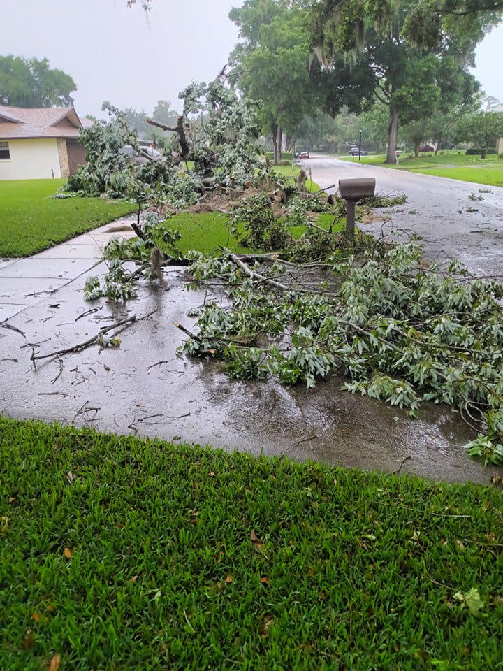 Severe weather caused a large tree to fall down in a south Orlando neighborhood.