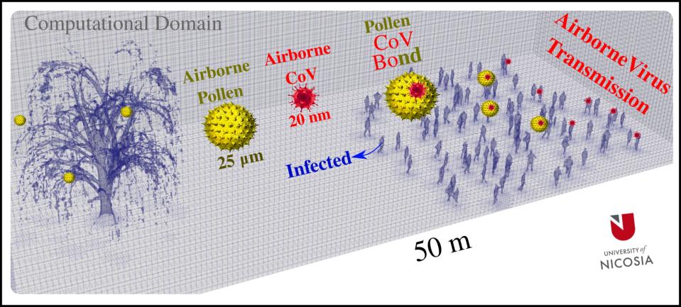 The researchers’ computational model predicted a correlation between airborne pollen and coronavirus transmission (Talib Dbouk)