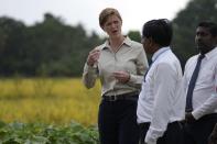 USAID administrator Samantha Power, left, speaks with agriculture specialists of UN's FAO and rice farmers during a visit to a paddy field in Ja-Ela on the outskirts of Colombo, Sri Lanka, Saturday, Sept. 10, 2022. (AP Photo/Eranga Jayawardena)