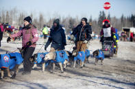 FILE - In this March 6, 2017 file photo, volunteer handlers guide teams out of the dog yard and down the chute to the starting line of the 45th Iditarod Trail Sled Dog Race in Fairbanks, Alaska. The world's most famous sled dog race will go forward in 2021, and officials are preparing for every potential contingency now for what the coronavirus and the world might look like in March when the Iditarod starts. It's not the mushers that worry Iditarod CEO Rob Urbach; they're used to social distancing along the 1,000 mile trail. The headaches start with what to do with hundreds of volunteers needed to run the race, some scattered in villages along the trail between Anchorage and Nome, to protect them and the village populations. (AP Photo/Ellamarie Quimby, File)