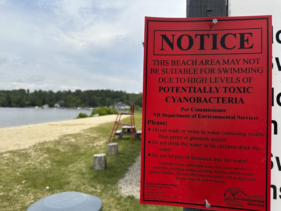 A sign warns visitors at 19 Mile Beach along Lake Winnipesaukee, Friday, June 14, 2024, in Tuftonboro N.H., of an algae bloom. State officials have issued two warnings of potentially dangerous algae blooms along the lake, which is the state's largest. (AP Photo/Nick Perry)
