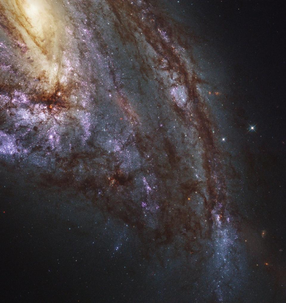 The spiral galaxy Messier 66 (Hubble)