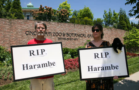 People attend a vigil outside the Cincinnati Zoo and Botanical Gardens, two days after a boy tumbled into its moat and officials were forced to kill Harambe, a Western lowland gorilla, in Cincinnati, Ohio, U.S. May 30, 2016. REUTERS/William Philpott