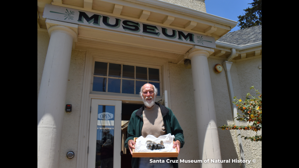 Jim Smith, pictured outside the Santa Cruz Museum of Natural History, happened upon a mastodon tooth while on a run.