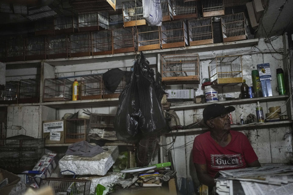 Paul Lall sits at the store where he has sold birds for more than 50 years at the Stabroek Market in Georgetown, Guyana, Thursday, April 20, 2023. Songbirds are popular among Guyanese, who keep them as pets or to participate in singing competitions that are a centuries-old tradition. (AP Photo/Matias Delacroix)