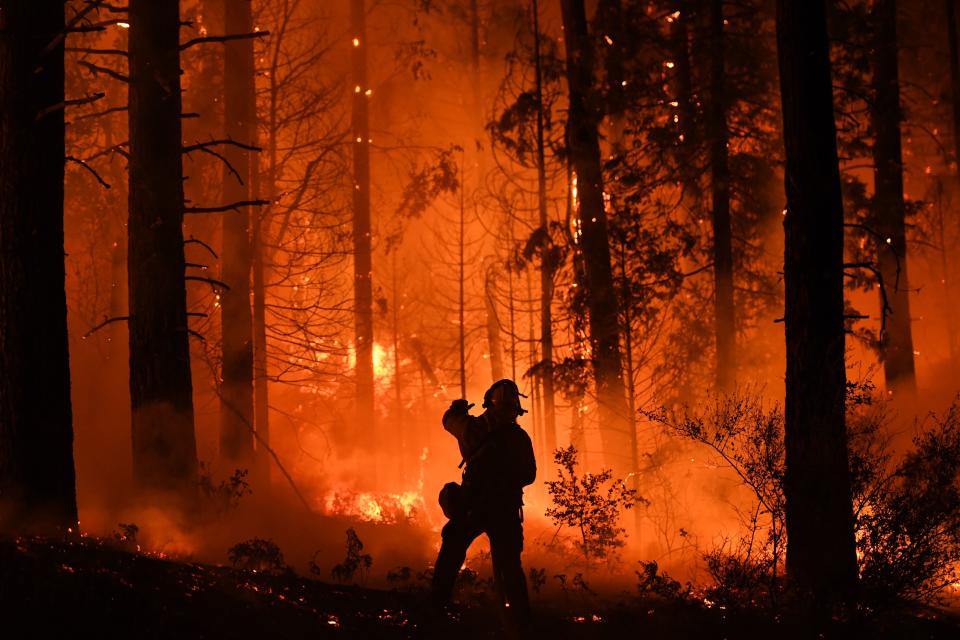 Deadly wildfires in Northern California