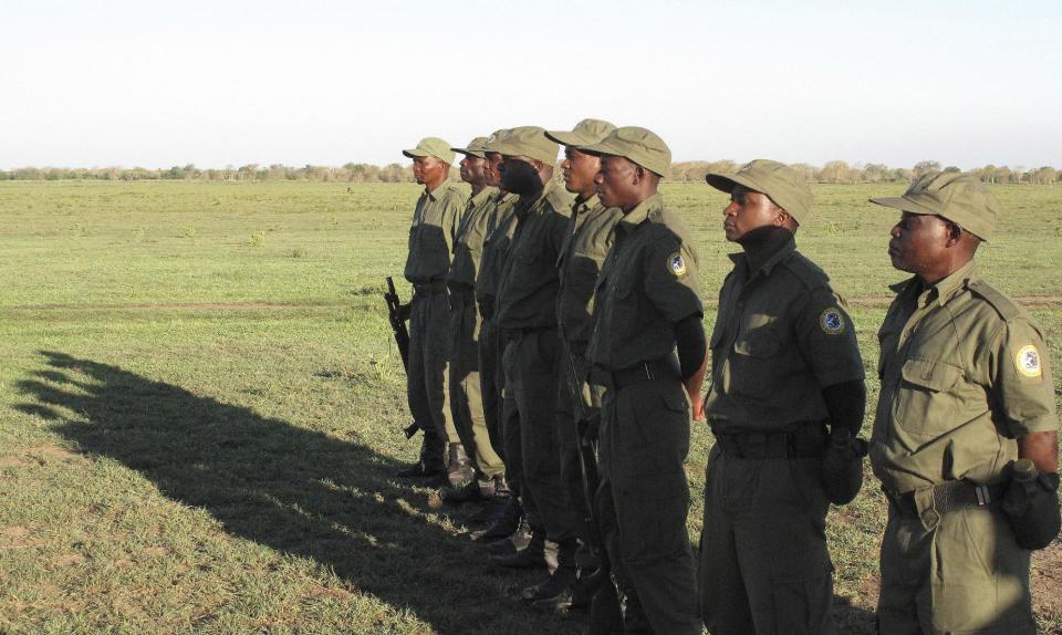 Rangers stand at the Gorongosa National Park in Mozambique, Wednesday, Nov. 30, 2016, which has been affected by conflict between Mozambique's government and the main opposition group, which has a stronghold in the Gorongosa area. Park managers say many of the 500 people working for the Gorongosa park back Renamo, the opposition, and some support Frelimo, the ruling party, though workers are discouraged from talking about politics on the job. (AP Photo/Christopher Torchia)