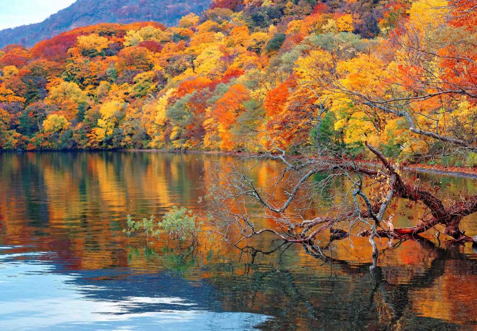 Excursión de un día de otoño a Aomori: garganta de Oirase, lago Towada, parque Hirosaki y aldea Nebuta |  Japón.  (Foto: KKday SG)