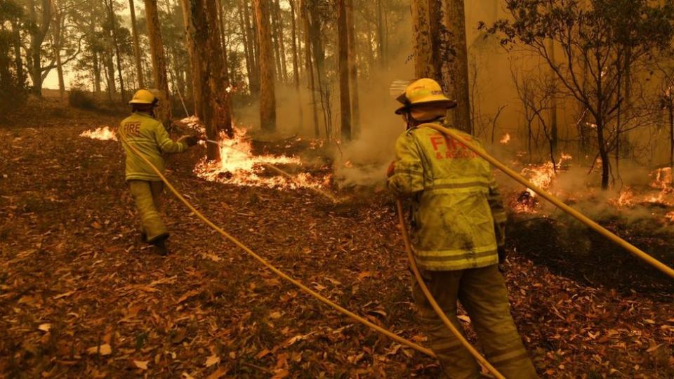 Solamente en Nueva Gales del Sur, en el sureste de Australia, se quemaron 4 millones de hectáreas (una hectárea tiene aproximadamente el tamaño de un campo deportivo). Esto es más de cuatro veces el territorio que se quemó en la Amazonía en 2019 (cerca de 900.000 hectáreas) y en California, Estados Unidos (800.000 hectáreas).