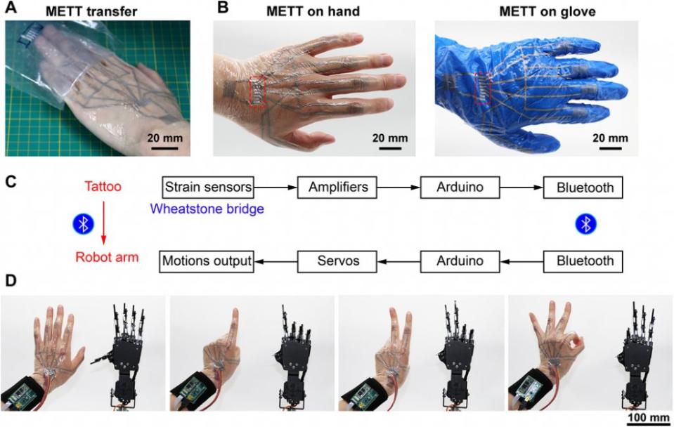 (A)將電子刺青轉印到手上的過程 (B)METT直接黏貼於皮膚上（左）METT黏貼於手套上（右）﹐紅框為外部控制區 (C)控制系統圖 (D)METT遠端控制機械手臂示意圖