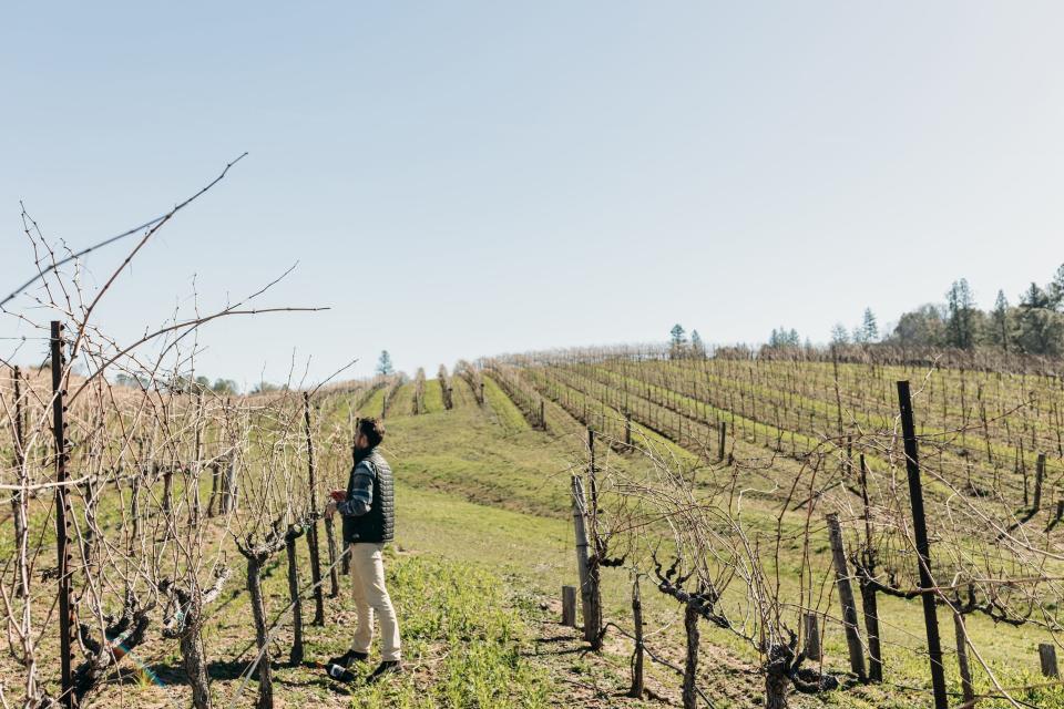 Man standing in vineyard field.