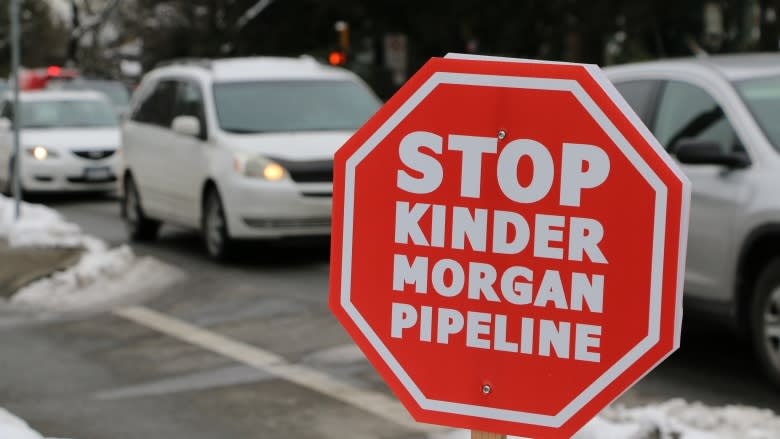 'I want the whole thing scrapped': NEB hearings on Kinder Morgan's proposed pipeline route resume