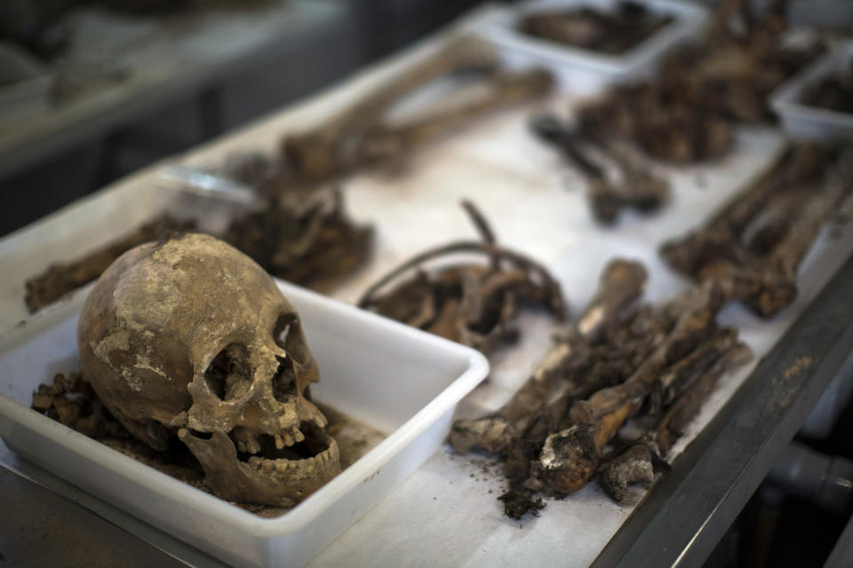 In this Tuesday, Aug. 28, 2018 photo, a skull with other bones of a victim's bodies during the classification process by anthropologists following the exhumation of a mass grave at the cemetery of Paterna, near Valencia, Spain. DNA tests will be conducted in the hope of confirming the identities of those who disappeared eight decades ago, believed to have been executed by the forces of Gen. Francisco Franco during and after the 1936-39 Spanish Civil War.(AP Photo/Emilio Morenatti)