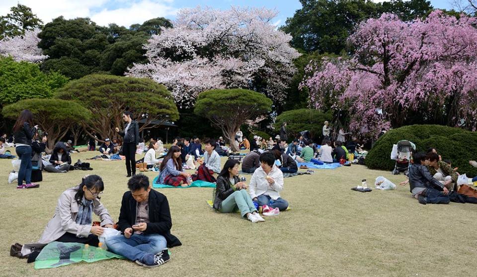 東京新宿御苑（Photo by Frédéric Soltan/Corbis, Image Source : Getty Editorial）