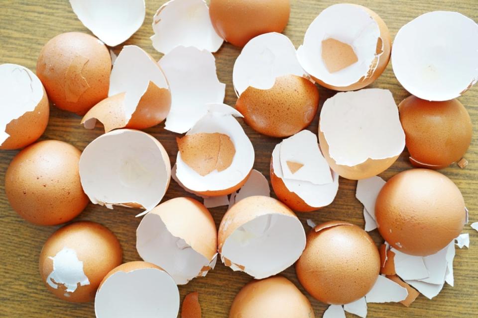 Many broken empty eggshells on a wooden board.