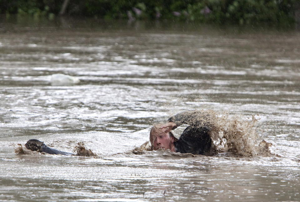 Kevan Yaets swims after his cat Momo to safety as the flood waters sweep him downstream and submerge the cab in High River, Alberta on June 20, 2013 after the Highwood River overflowed its banks. Hundreds of people have been evacuated with volunteers and emergency crews helping to aid stranded residents.