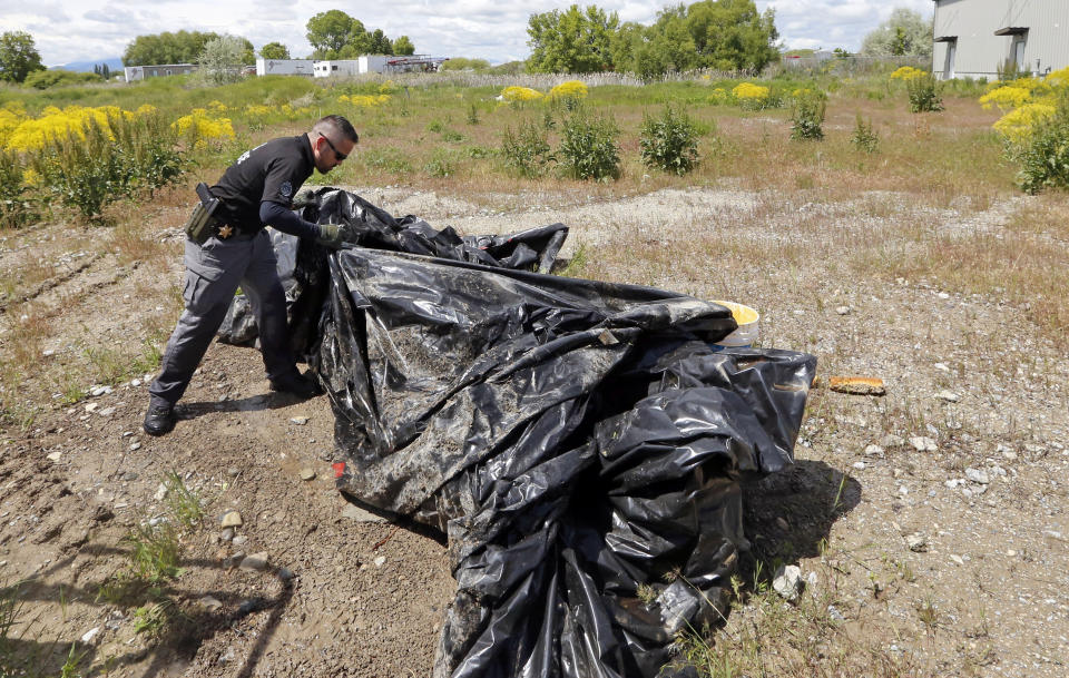 Searchers look for signs of 5-year-old Elizabeth Shelley Tuesday, May 28, 2019, in Logan, Utah. The search for the missing girl has stretched into a fourth day in Utah, with police saying her 21-year-old uncle is the suspect in her disappearance. Logan Police Chief Gary Jensen told reporters that investigators have "strong evidence" including DNA linking Alex Whipple to the disappearance of Elizabeth "Lizzy" Shelley. She was reported missing Saturday morning. (AP Photo/Rick Bowmer)