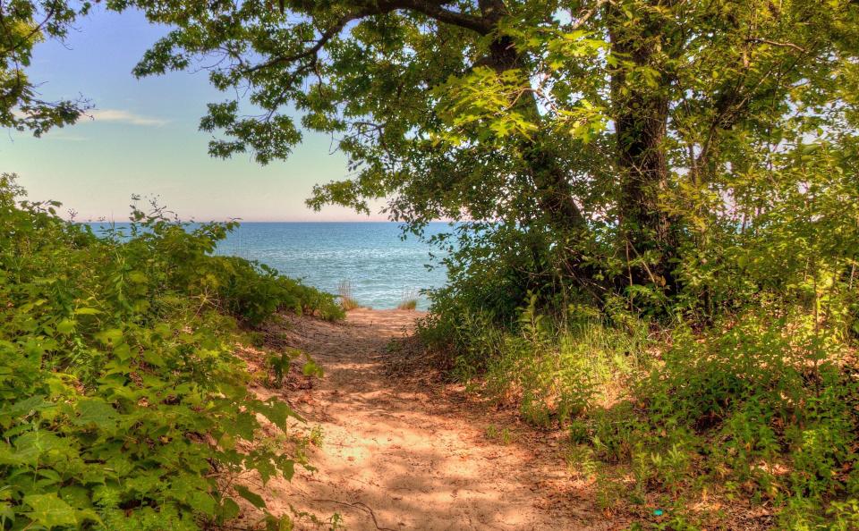 Photo of a trail leading to water at the Illinois Beach State Park