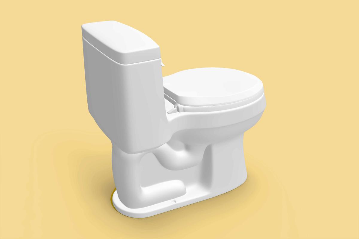 What Exactly Is A Bidet Toilet