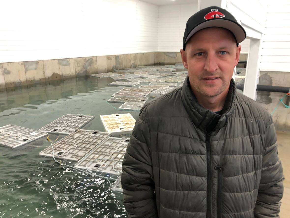 Rick Crane stands next to his new live lobster holding tank, which can hold 48,000 pounds of lobster.  (Colleen Connors/CBC - image credit)