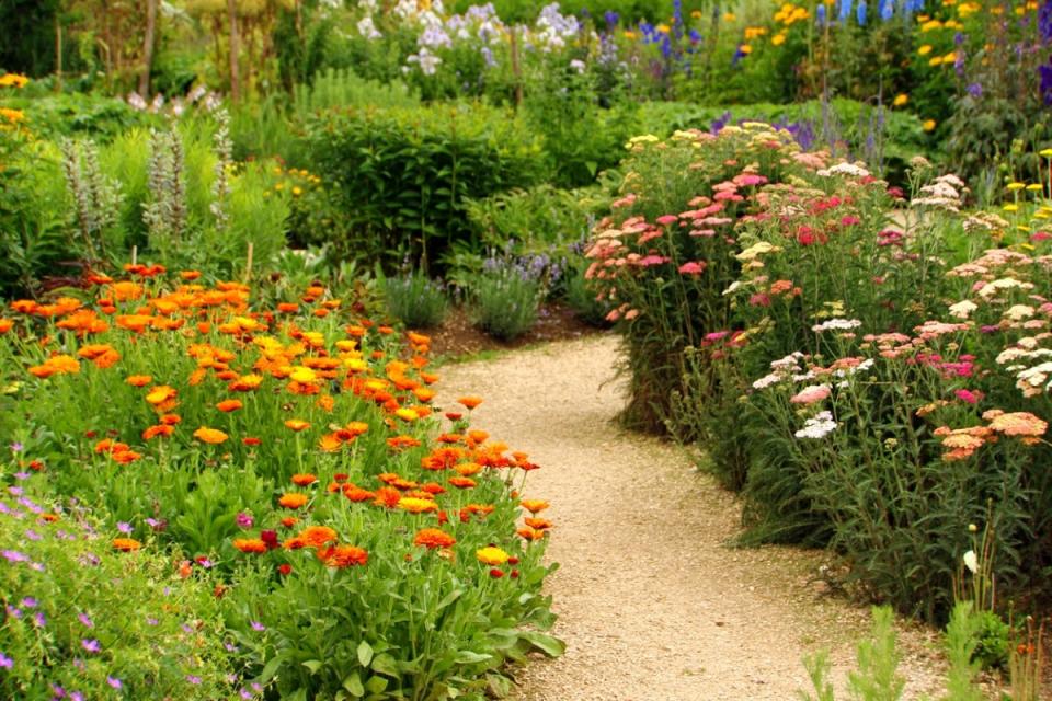 Wildflowers planted along walkway