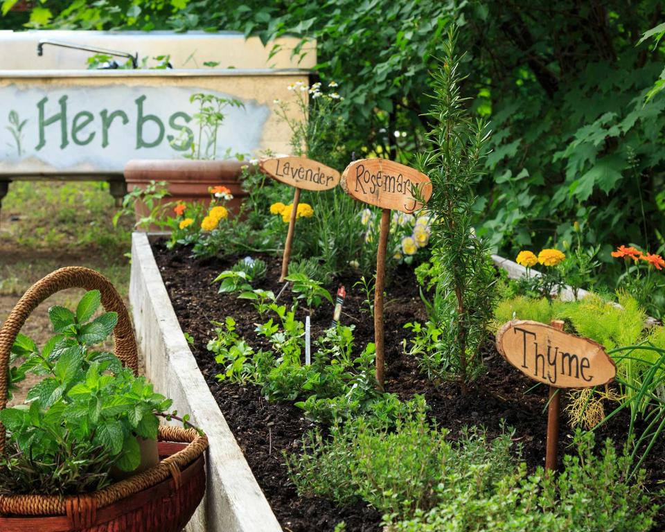 <p> Not only are plant labels useful, but they can also add a pretty touch to your displays. And it&apos;s easy to make your own with a bit of exterior paint and a touch of creativity. </p> <p> You could use small, sawn-off pieces of log or offcuts of timber attached to sturdy twigs pushed into the soil. Or how about decorating large pebbles and nestling them beneath each plant? Wooden spoons are also a thrifty option. </p>